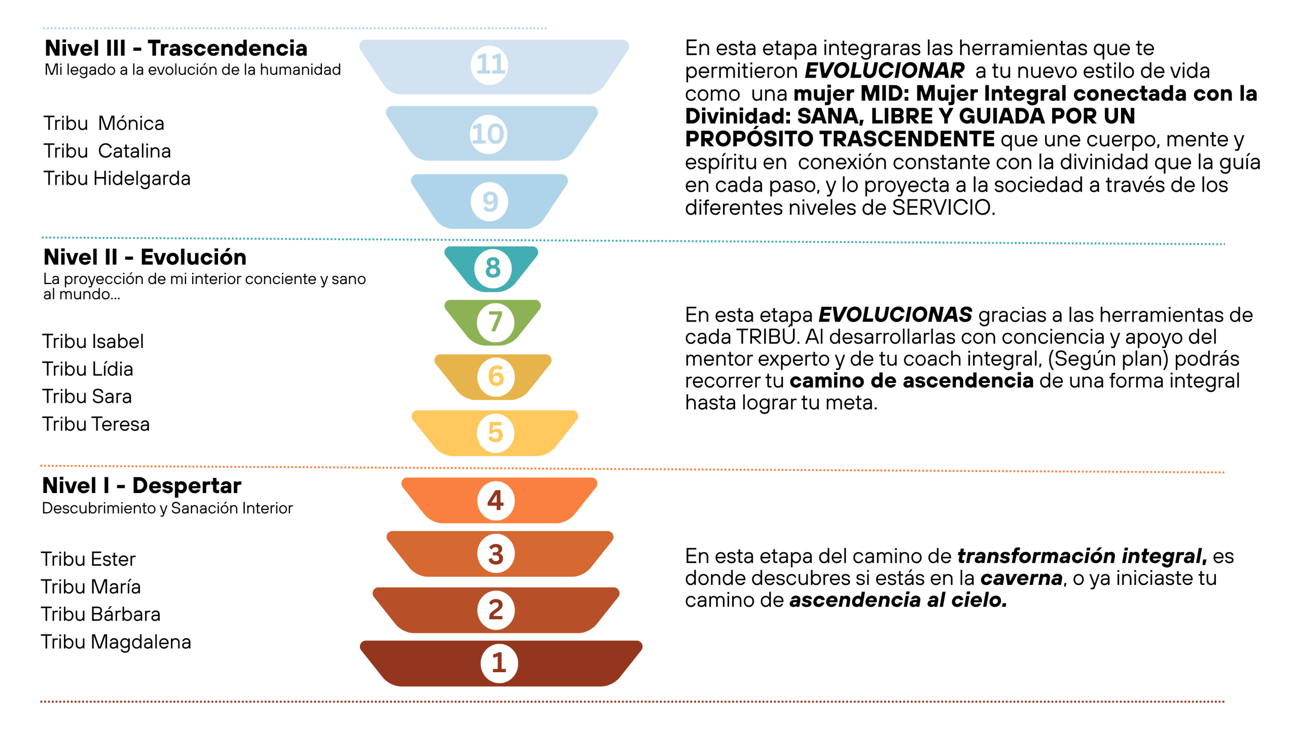 Escala de evolución MID