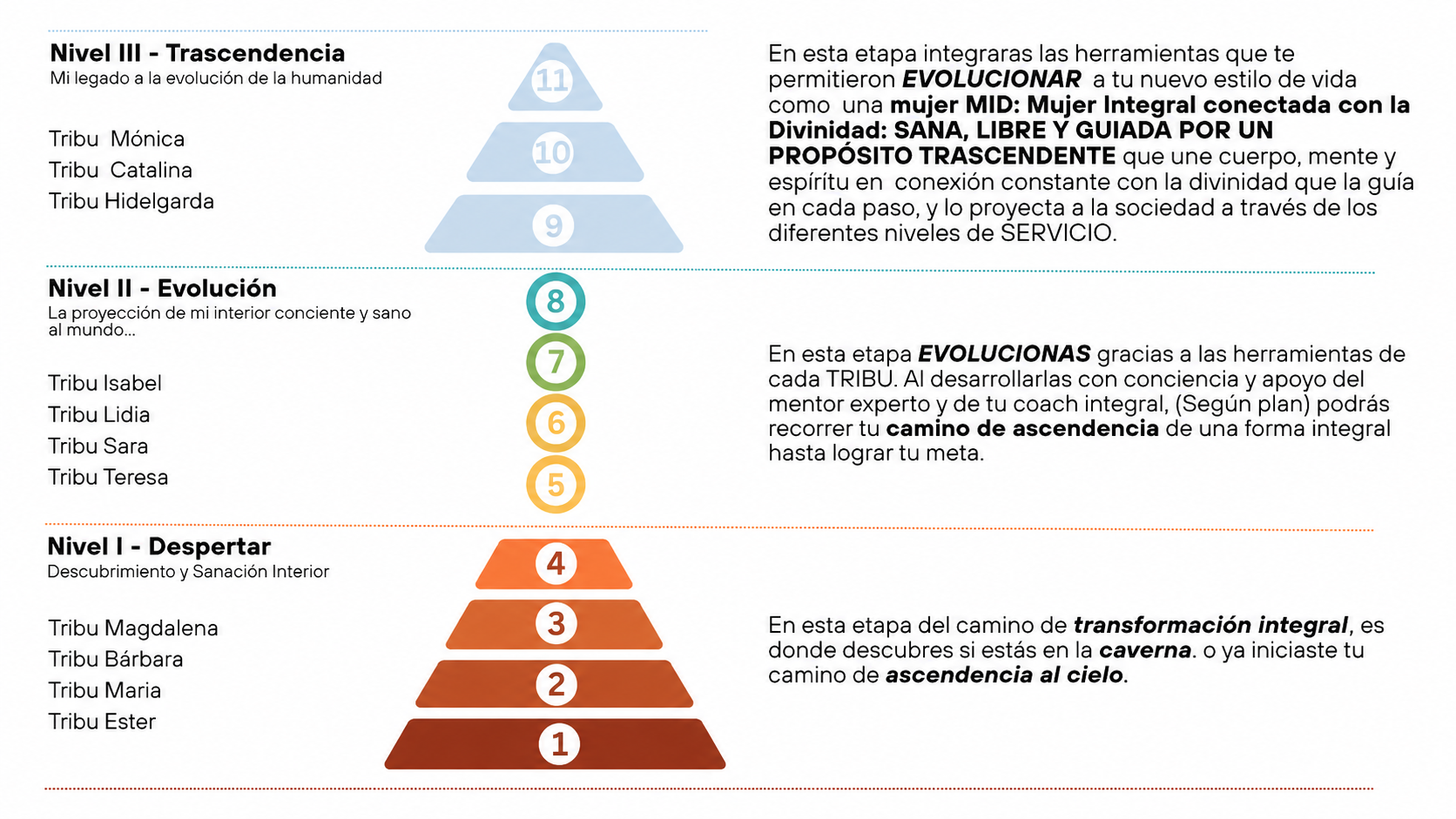 Escala de evolución MID
